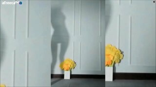 ���ፍትወት ቀስቃሽ ጥላ