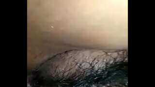 морена касада сафадинья qr6